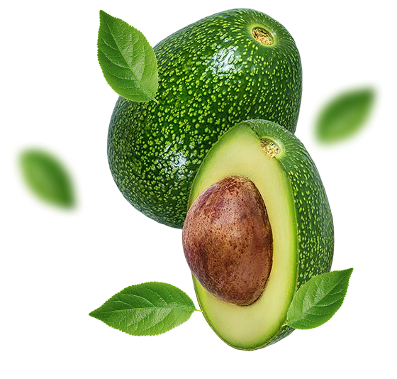 آووکادو زوتانو