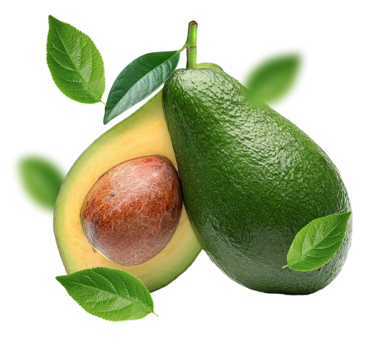 آووکادو بیکن