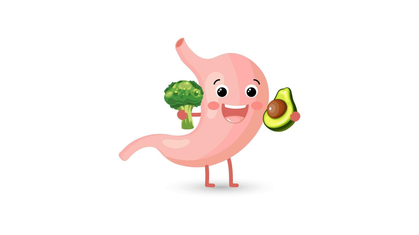 خواص آووکادو برای درمان یبوست و بهبود گوارش